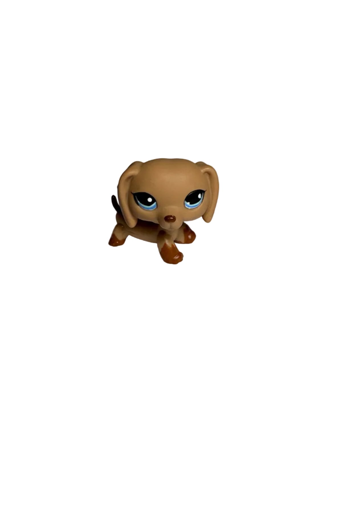 Littlest Pet Shop #1211 - Dachshund