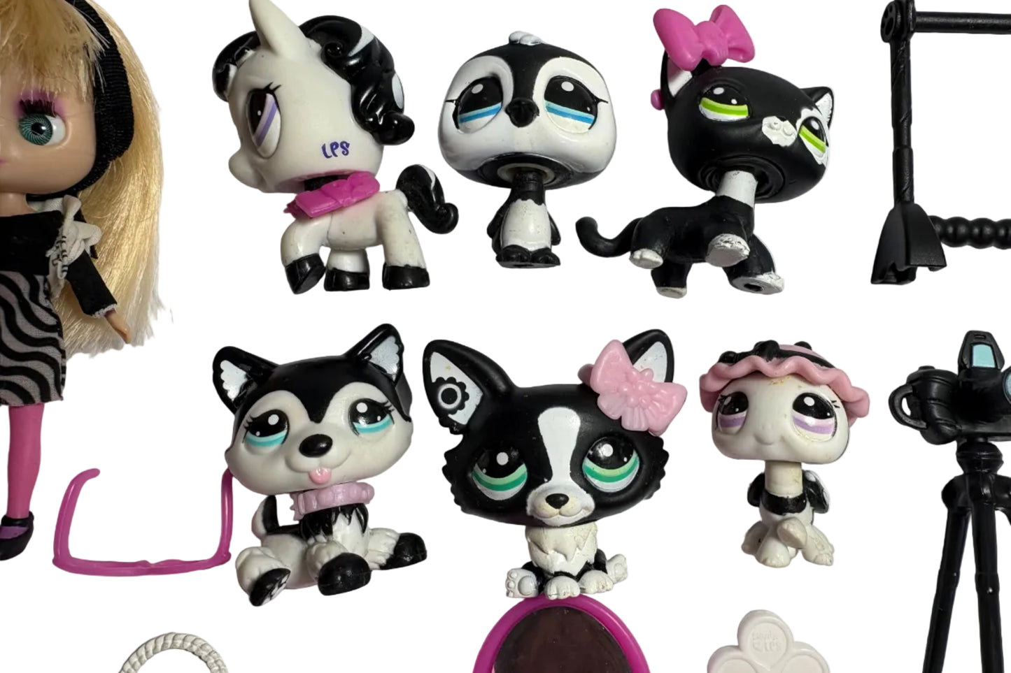 Littlest Pet Shop - Blythe Fashion Shoot Black & White