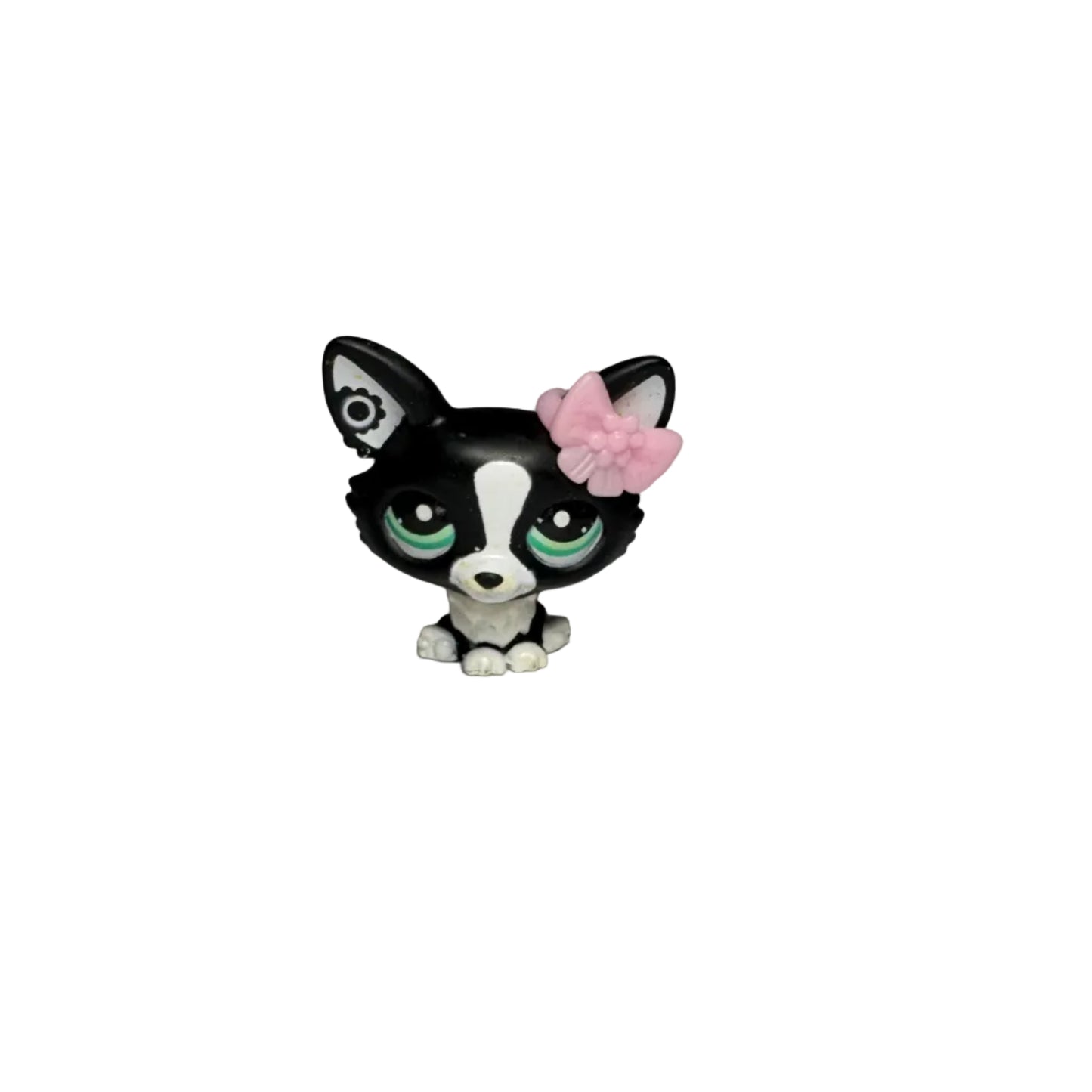 Littlest Pet Shop - Blythe Fashion Shoot Black & White