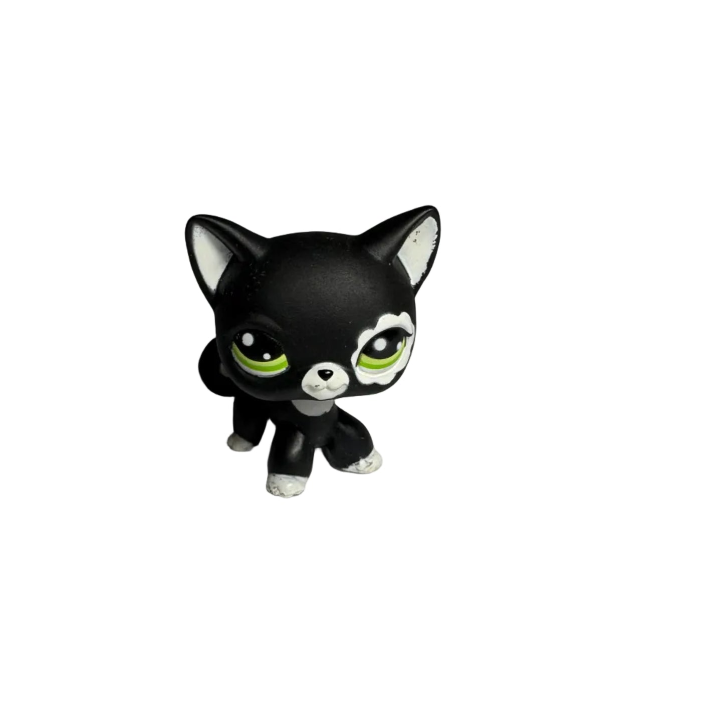 Littlest Pet Shop - Blythe Fashion Shoot Black & White
